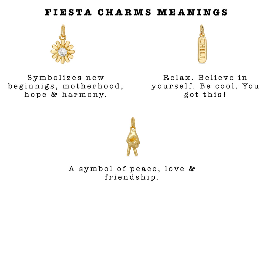    Ale-Weston-Fiesta-Charms-Meanings-Miami-Necklace-part2
