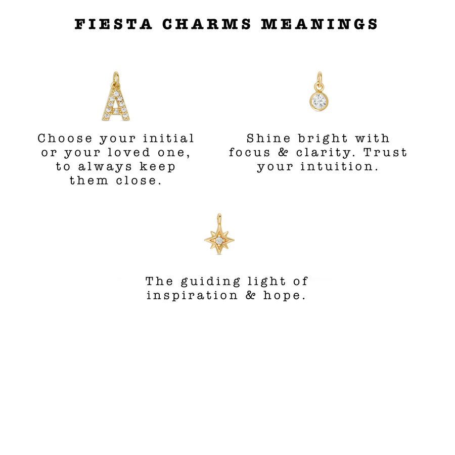 Fiesta Charms Meanings Ale Weston