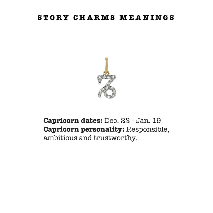    Ale-Weston-Story-Charms-Meanings-Capricorn-Zodiac-Sign-Pave-Diamond-14k-Gold
