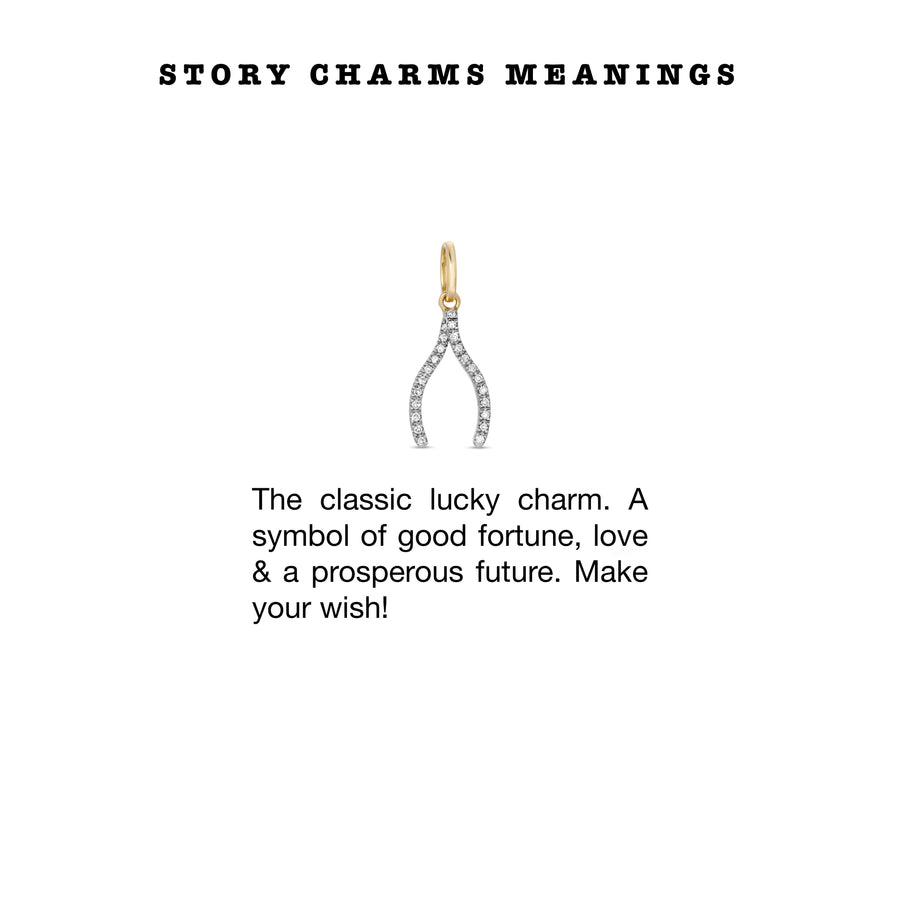    Ale-Weston-Story-Charms-Meanings-Wishbone-Make-A-Wish-Diamond-Charm